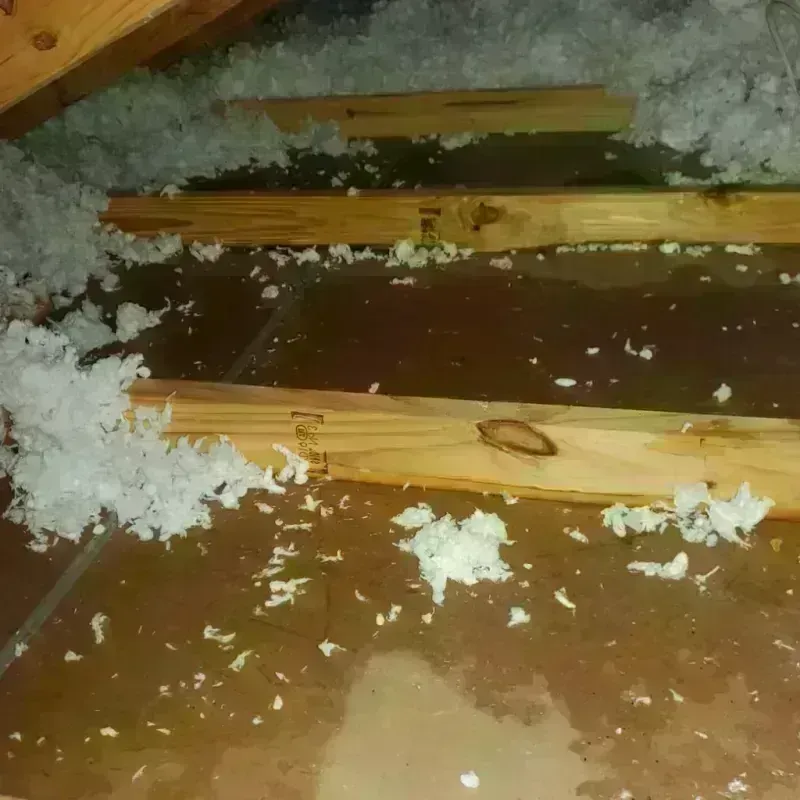 Attic Water Damage in Oakland, PA