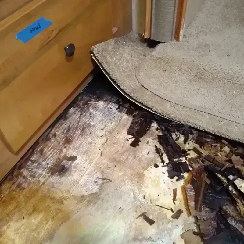 Wood Floor Water Damage in Oakland, PA